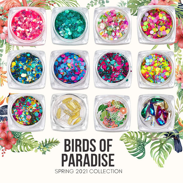 Birds of Paradise Collection - The KiKi Company